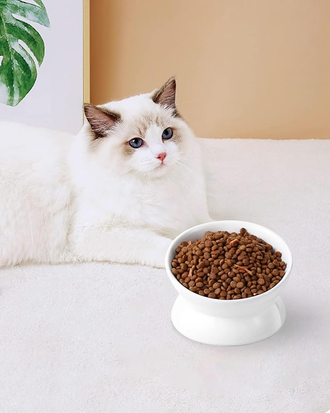LoeJan Elevated Cat Food Bowl, 5 Oz Ceramic Raised and Tilted Water Bowl, Anti Vomiting and Protect Pets' Spines Dishes for Small Dog, Fat Faced Cat, Kitten (White, 4 Pack)