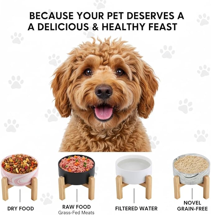 Elevated/Raised Ceramic Dog Bowl with Bamboo Stand，6 Inch 3.6 Cups Non Slip Heavy Weighted Single Pet Dish, for Small Medium Breed & Cats,Reduces Neck Strain White