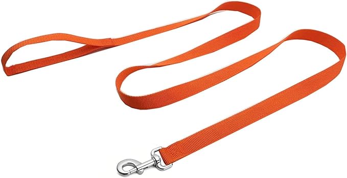 Strong Nylon Dog Leash, 4FT/ 5 FT/ 6FT Dog Leashes for Medium Large Dogs (6FT, Orange)