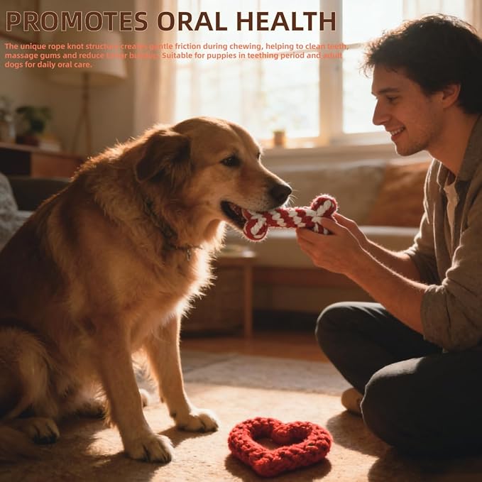 Valentine Dog Toy 2-Pack | Heart&Bone Rope Knot Chew Toys | Durable for Medium Large Dogs with Chewing Behavior | Teeth Cleaning Interactive Toys
