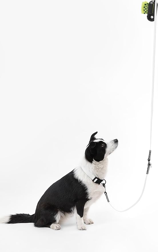 WLK1006F-5SET Luna Large 8FT Adjustable 6-in-1 Waterproof Hands-Free Leash and Collar with LED Flashlight, Bag Dispenser, and Poop Bag Holder, Seltzer