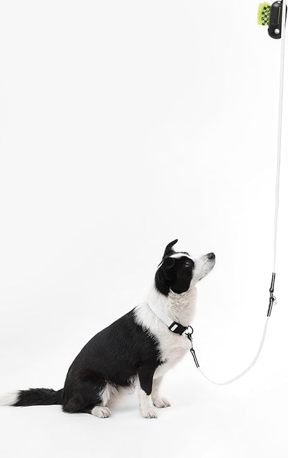 WLK1006F-5SET Luna Large 8FT Adjustable 6-in-1 Waterproof Hands-Free Leash and Collar with LED Flashlight, Bag Dispenser, and Poop Bag Holder, Seltzer
