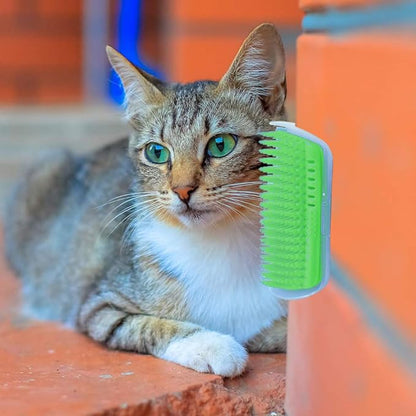 Hub's Gadget 2 Pack Cat Self Groomer, Wall Corner Massage Comb Grooming Brush with Catnip Pouch, Pink