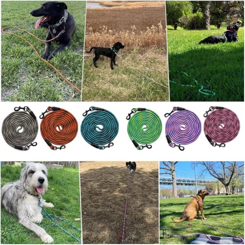 BTINESFUL 8ft Dog Tie Out Long Tether Rope Leash, 12/20/30/50/75ft Dog Lead - Image 6