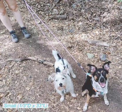 Double Dog Leash Coupler 1/3" Rope Extension for Two 10-35lbs Dog - Image 6