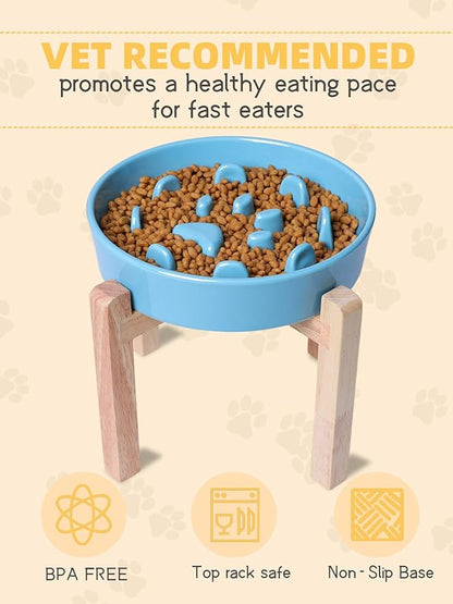 Dog Slow Feeder Bowl with Stand, Round Ceramic Pet Food Bowl for Medium Breed, Fun Raised Dog Bowls to Slow Down Eating (Turquoise)