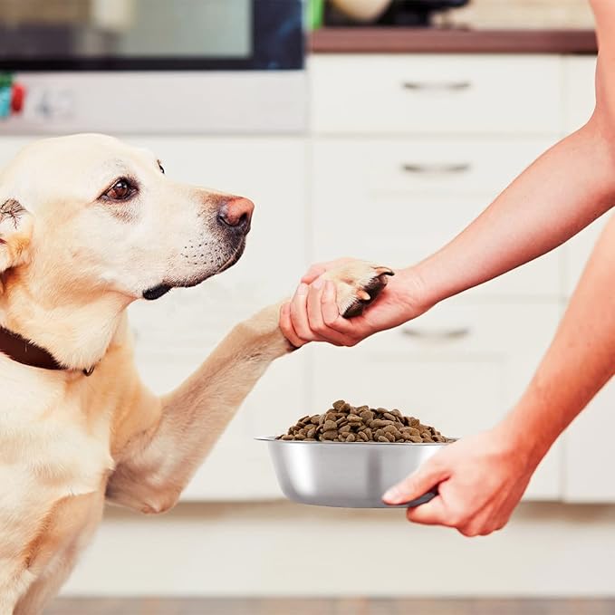8 Pack Small Dog Bowl Cat Bowl,3 Cup 24 OZ Stainless Steel Dog and Cat Bowls Pet Metal Food and Water Dish,Basic Pet Feed Bowls for Small Dog Puppies Kitten