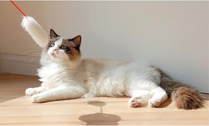 plplaaoo Interactive Cat Plush Teaser Wand for Indoor Play - Bite Resistant Flexible Soft Plush Cat Wand Toy for Kitten Training & Exercise,Funny Stick for Cats(White)