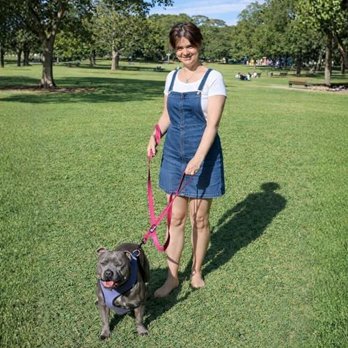 Primal Pet Gear Dog Leash 6ft Long,Traffic Padded Two Handle,Heavy Duty,Reflective Double Handles Lead for Control Safety Training,Leashes for Large Dogs or Medium Dogs,Dual Handles Leads(Pink) - Image 2