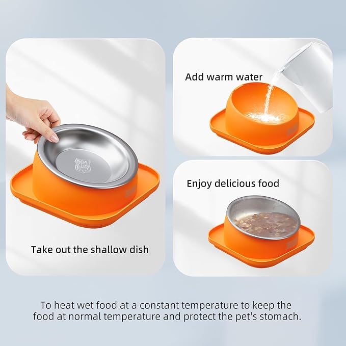 Elevated Cat Food Bowl, Tilted Feeding Stand, Whisker Friendly, Slanted Flat Plastic Feeder, Orange