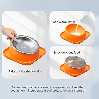 Elevated Cat Food Bowl, Tilted Feeding Stand, Whisker Friendly, Slanted Flat Plastic Feeder, Orange