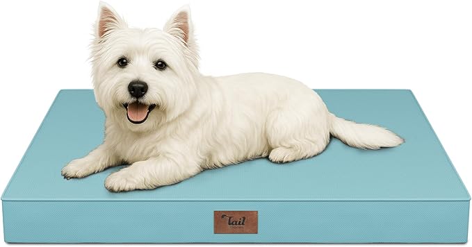 Outdoor Dog Bed for Small Dogs & Cats, Waterproof Dog Crate Mat Orthopedic Egg Crate Foam with Washable Removable Oxford Cover, Light Blue