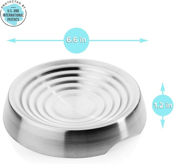 CatGuru Cat Bowls, Whisker Friendly Food Bowl for Indoor Cats, Reliefs Whisker Fatigue, Wide Kitten Dish, Non Slip Pet Dishes, Shallow Pet Plates (Stainless Steel, (Pack of 2))