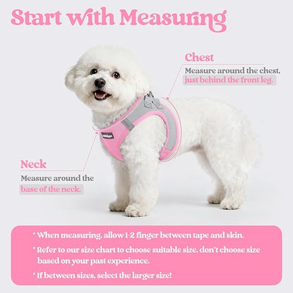 rabbitgoo Dog Harness Small Sized and Leash Set, Step in Soft Light Puppy Vest, Breathable Mesh Pet Harness, Reflective for Safe Easy Walking, Pink & Gray S