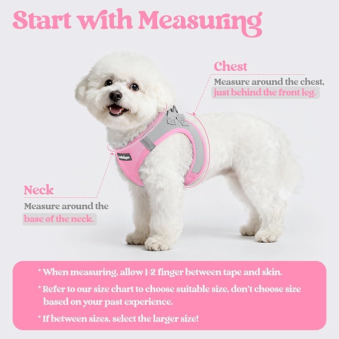 rabbitgoo Dog Harness Small Sized and Leash Set, Step in Soft Light Puppy Vest, Breathable Mesh Pet Harness, Reflective for Safe Easy Walking, Pink & Gray XS