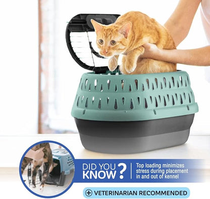 Petmate Top Load Plastic Cat Kennel for Small Dogs, Puppies & Cat Carriers, One-Door, Top Loading, Made in USA, 19" for Pets Up Tp 10 lb, Purple