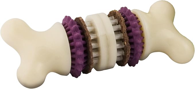 PetSafe Busy Buddy Bristle Bone - Durable Dog Chew Toy with Bristles & Rubber Nubs for Dental Health - Treat-Dispensing Toothbrush Toy for Hard Chewers - Dog Enrichment Supplies