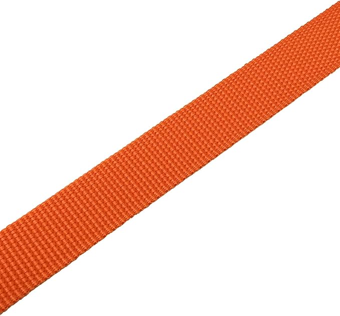 TAIAN 4FT/5FT/6FT Strong Dog Leash, Nylon Dog Leashes for Small Medium Large Dogs (3/4 in x 5 ft, Orange)