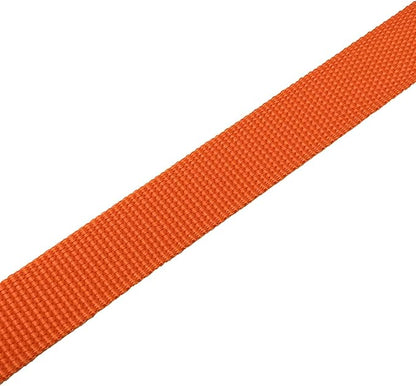 TAIAN 4FT/5FT/6FT Strong Dog Leash, Nylon Dog Leashes for Small Medium Large Dogs (3/4 in x 5 ft, Orange)