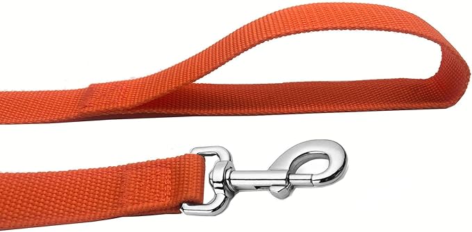 Strong Nylon Dog Leash, 4FT/ 5 FT/ 6FT Dog Leashes for Medium Large Dogs (4FT, Orange)