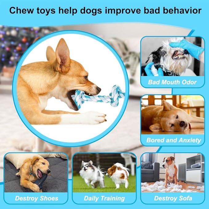 SZEE Dog Rope Toys, 14 in 3 Knots Chew Rope for Medium and Small Dogs, Pull Toy for Tug of War and Teeth Cleaning (Blue)