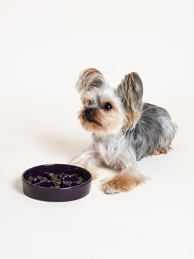 LE TAUCI PET Ceramic Slow Feeder Dog Bowls Small Breed, 0.5 Cups Dog Food Dish for Fast Eaters, Puzzle Bowl for Small Dogs and Cats, 5.5 Inch-Purple