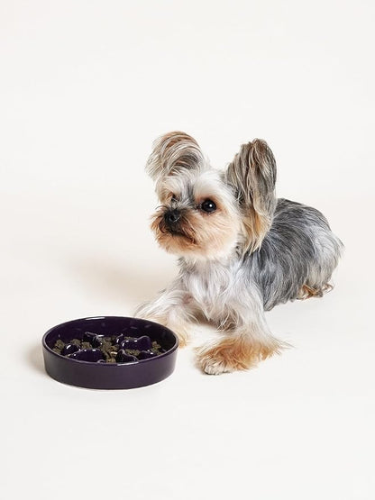 LE TAUCI PET Ceramic Slow Feeder Dog Bowls Small Breed, 0.5 Cups Dog Food Dish for Fast Eaters, Puzzle Bowl for Small Dogs and Cats, 5.5 Inch-Purple