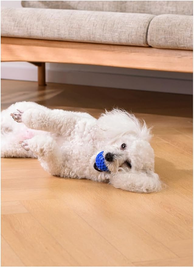 3pcs Small Interactive Dog Balls Chuck It Balls Indestructible Dog Toys for Aggressive Chewers 6.5cm/2.55in Diameter 3 Colors