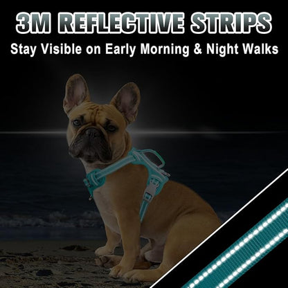 BARKBAY No Pull Dog Harness Large Reflective Dog Harness with Front Clip and Easy Control Handle for Walking Training Running with ID tag Pocket(Ocean Blue,XS)