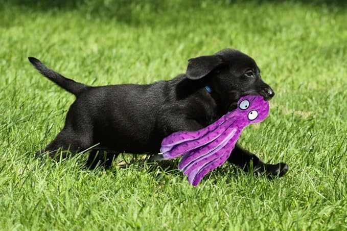Squeaky Dog Toys for Small, Medium and Large Breeds - Durable and Soft Crinkle Plush Puppy Toys for Boredom (Purple Octopus 1PC)
