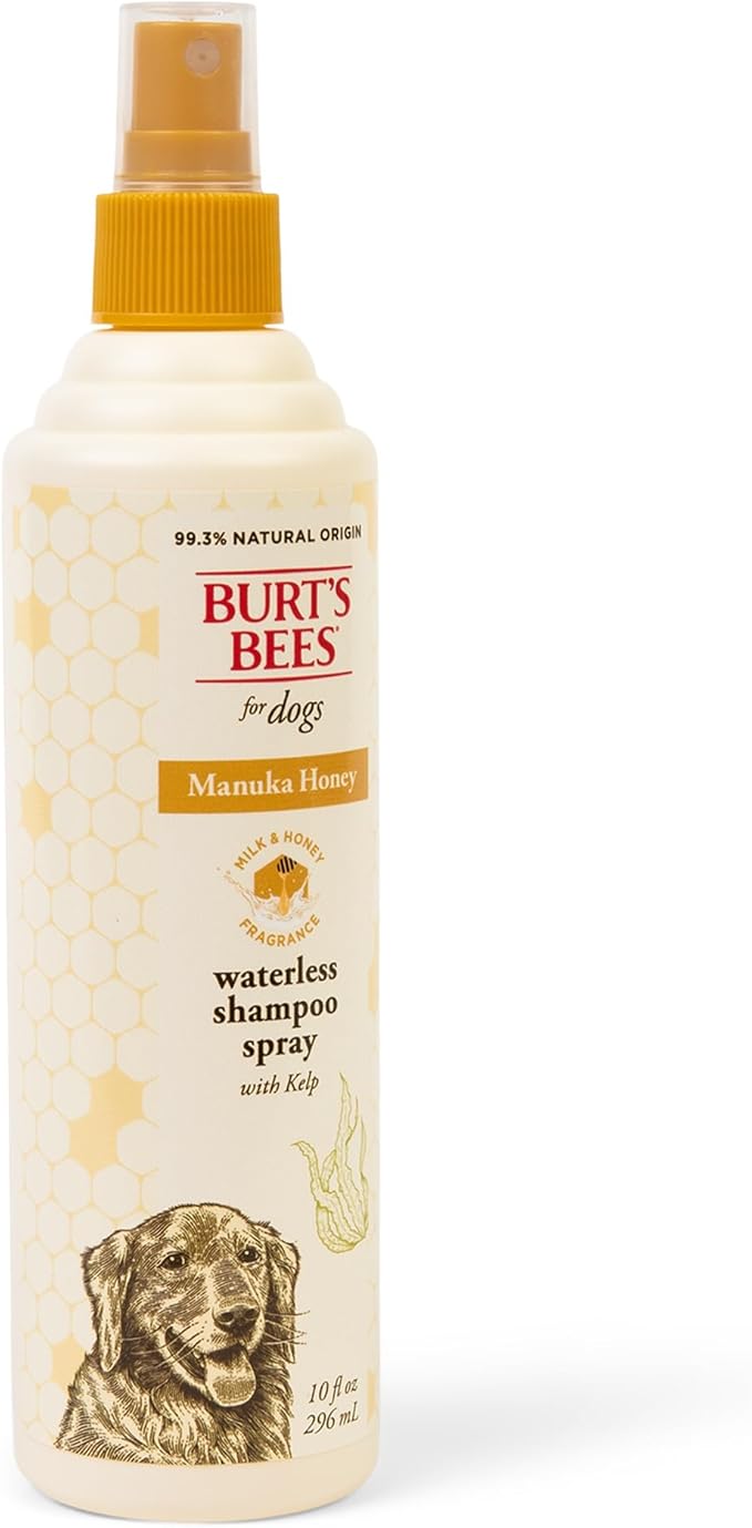 Burt’s Bees for Pets Manuka Honey Waterless Shampoo Spray for Dogs with Kelp, 10 Fl Oz