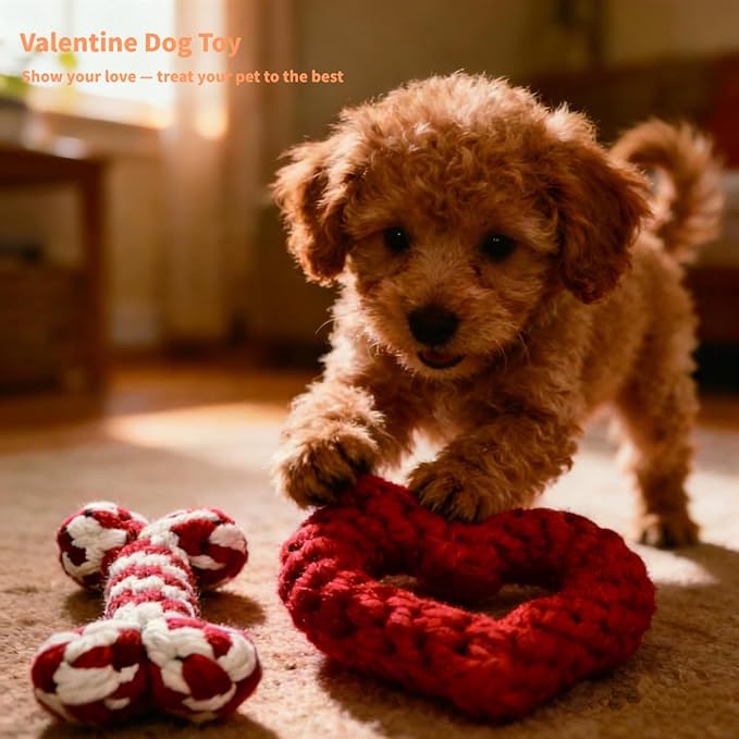 Valentine Dog Toy 2-Pack | Heart&Bone Rope Knot Chew Toys | Durable for Medium Large Dogs with Chewing Behavior | Teeth Cleaning Interactive Toys