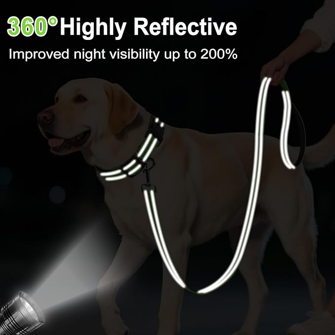 Reflective Dog Leash 6ft Soft Padded Handle Nylon Lead for Small & Medium Dogs, Durable Walking Training Leash for Night Safety (Green,3/4Inch Wide)
