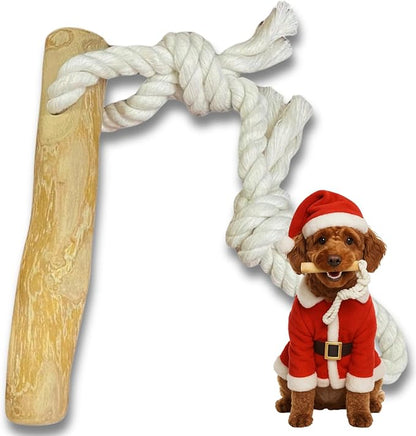 Coffee Wood Dog Chew Toy with Rope for Small Dogs, Natural Wood Stick for Light to Moderate Chewers, Safe Chewing for Dental Care, Tug Play & Boredom Relief (Small - Under 30lbs)