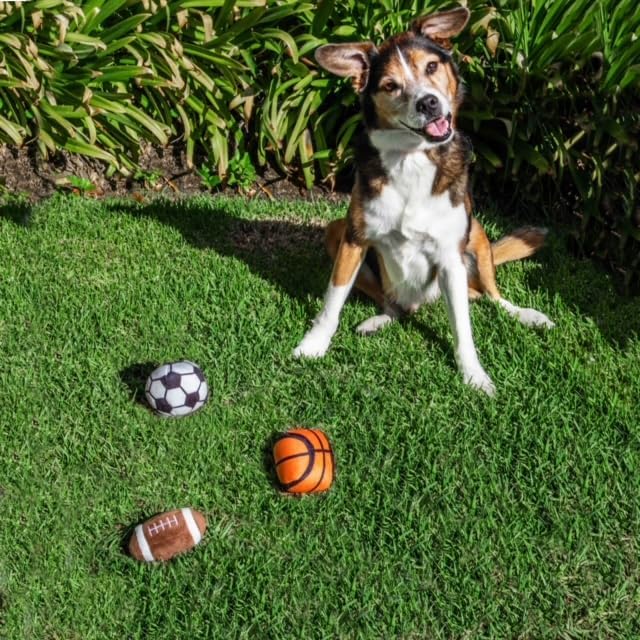 Glow Pups Sports Balls, Dog Toy with Squeakers, 3 Pack: Football, Soccer, Basketball