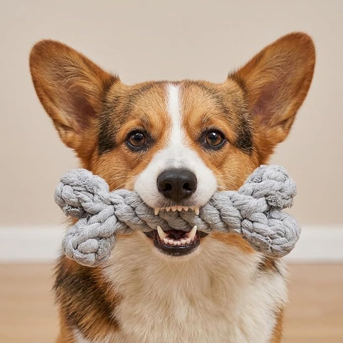 Dog Rope Toys Set with Bone-Shaped Chew Toy, Durable Cotton Rope Toys for Teething, Training, and Interactive Play for Small to Medium Dogs (Gray)