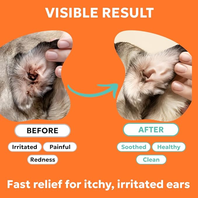 Forticept Dog and Cat Ear Infection Treatment, Dog Ear Drops with 1% Hydrocortisone 2 oz