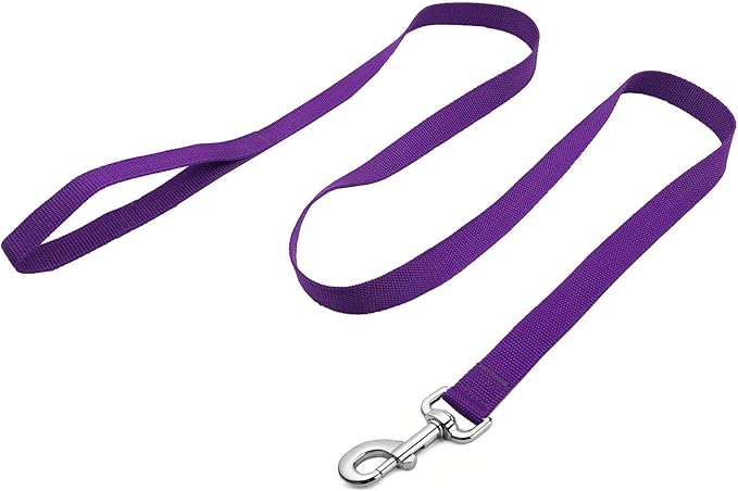 Strong Nylon Dog Leash, 4FT/ 5 FT/ 6FT Dog Leashes for Medium Large Dogs (4FT, Purple)
