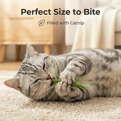 6 Pcs Catnip Chew Toys for Cats-2 Natural Silvervine Chew Cat Toys, 1 Catnip Shrimp, 1 Natural Feather Cat Toys, 1 Realistic Scorption and 1 Interactive Crinkle Toys for Indoor Cats