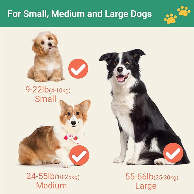 Happy & Polly Retractable Dog Leash with Flashlight, Protective Bungee Leash, Convenient Hook, 16.4ft Reflective Fishing Line Weaved Strong Tape, One- Handed Release, Pause, Lock Green