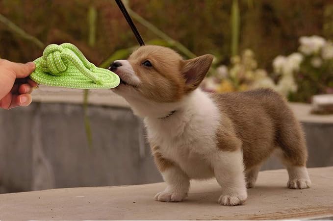 Sunglow Dog Toy Interactive Chewing Rope Ball Toys Natural Cotton Washable Durable Tug of War for Small Medium Dogs Puppies Training Playing Teeth Cleaning (Shoes)