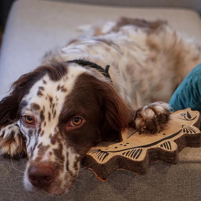 Tall Tails Natural Leather Trout Tug Toy for Dogs