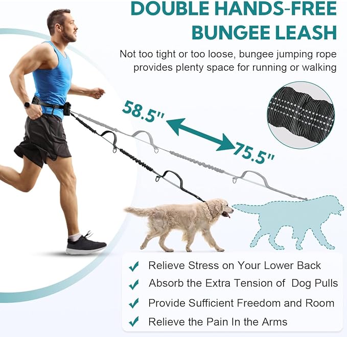 Hands Free Dog Leash, Double Dog Leash with Waist Bag, Double Padded Handles, Dog Walking Running Accessory, (Large, 26-120 lbs)