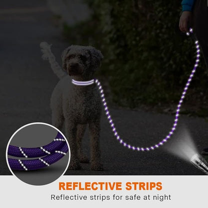 Taglory Rope Dog Leash 5 FT with Comfortable Padded Handle, Highly Reflective Threads Leash and Anti-Tangle Clip for Walking Small Dogs, 3/8 inch, Purple