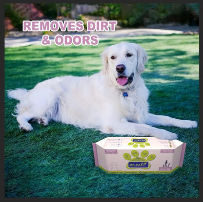DR.EASY Odor Remover Pet Grooming Wipes 100Ct Lavender Plant Based Ingredients for Paws,Body,Nose &Bum Cleaning,Remove Dirt,Dander & Excess Hair with Soft and Thick Wipes,No Artificial Fragrance - Image 7