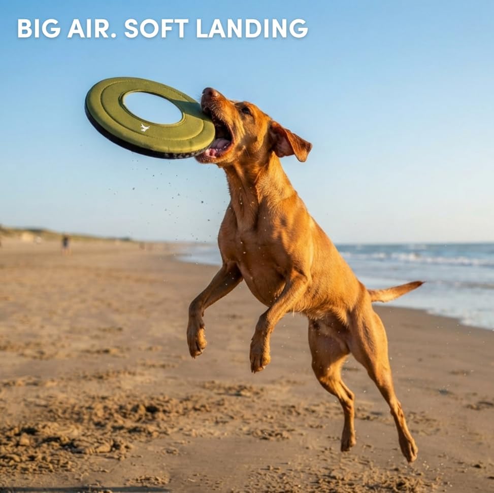 OllyDog Mini Super Flyer, Dog Flying Disc – Floating Fetch Toy, Soft on Teeth, Eco-Friendly Recycled Material, Lightweight, for Small & Medium Dogs (Palm, 9") - Image 4