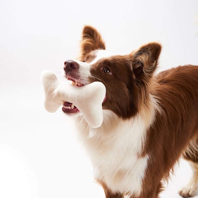 JOYELF Squeaky Dog Toy Plush Dog Chew Toy for Puppy Dogs, Interactive Non Toxic Chase Fetch Dog Toys with Squeakers for Dogs, 3 Pack Bones
