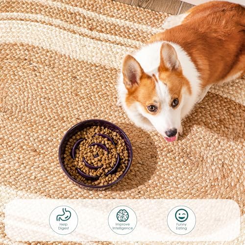 vancasso Slow Feeder Dog Bowl, 1.5 Cup Ceramic Medium Puzzle Dog Food Dish - Image 5