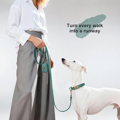 Didog Stylish PU Leather Dog Leash for Large Dogs, Easy to Clean 5ft Dog Leashes for Medium Dogs, Fashionable and Elegant for Walking, Running and Training,Green, M