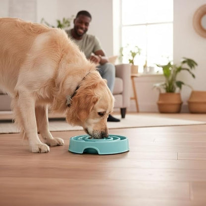 Pet Slow Feeder Bowl - Anti-Choking Maze Design, Universal for Dogs & Cats, Anti-Slip & Anti-Tip (Bowl-Light Blue)